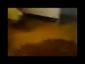 elias takin a shit yellin at us