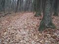 The Sound of Autumn