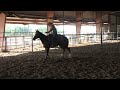 Click here to watch this video Sanjos Little Mate - 5/16/12 sorting practice - warm up - Valley View Ranch