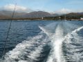 Bart & Davy, 2 anglers from Ostend Belgium go fishing for a week on the Beara peninsula Co Cork south east Ireland. The movie is an overview of the 13 fishing sessions and the catches of this week.