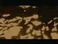 Anabela - A cidade (até ser dia)