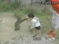 Just for laugh Just for laugh