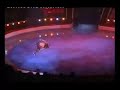 capoeira capoeira