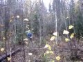 Eldar og P�lsa p� tur i skogen