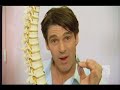 Regenerate Joint Cartilage Regenerate Joint Cartilage