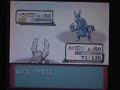 コゴミ 動画