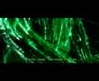 Causality in the Matrix