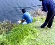 Big Patin (Part 1)