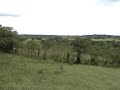 LasTablas Land for sale