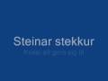 Steinar