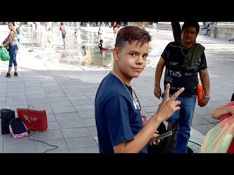 動画