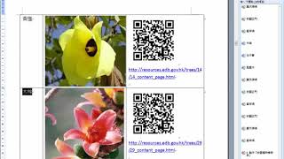 Excel 校園植物檢索表 教學
