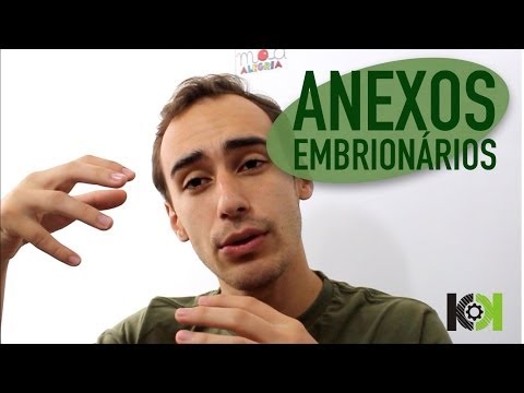 embriologia - Quer organizar a sua estratégia de estudos de uma maneira inteligente? Então leia o nosso livro! (http://hotmart.net.br/show.html?a=A1058799A) Ajude-nos a fa...