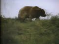 Ronald Reagan TV Ad: \"The Bear\"