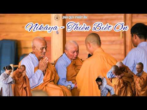 NIKAYA - Thiền Biết Ơn (14.4.2026)