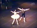 sylvie guillem & patrick dupond: don quixote pdd. paris opera ballet. 1993.