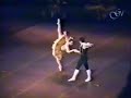 sylvie guillem & patrick dupond: don quixote pdd. paris opera ballet. 1993.