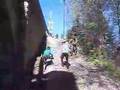 Ruta del adaja (foromtb)