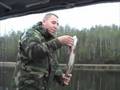 Fishing the Arrowhead: Elephant Lake