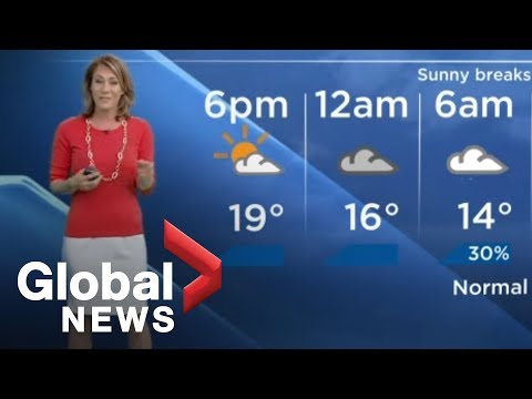 Spider Scares Weather Girl