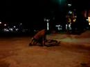 pasay crew (nightfall crew director\