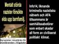 Kriminella nazister försökte elda upp barnfamilj.