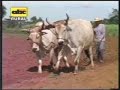 Manejo ecol�gico del suelo