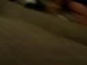 anthonys house with sal part 2 anthonys house with sal part 2