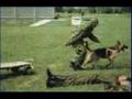 GERMAN SHEPHERD TRIBUTE
