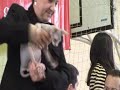Exposicion felina Barcelona Abril 2007 WCF
