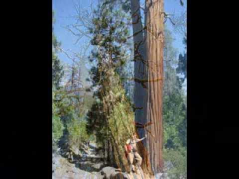 Yosemite National Park, California, USA