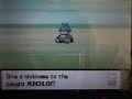 Hunting Munchlax - Mission Accomplished! Hunting Munchlax - Mission Accomplished!