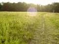 The Wheatfield (Gettysburg)