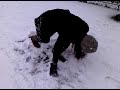 Snowy snowy day...