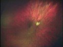 October is Eye Health Month October is Eye Health Month
