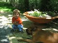 Dog and kid Dog and kid