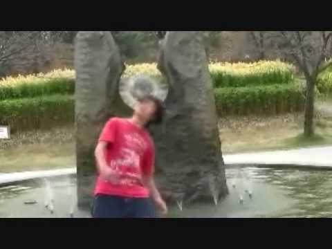 oka-nPV