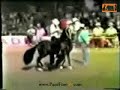 TUPAC AMARU FC ESPECTACULAR!! TUPAC AMARU FC ESPECTACULAR!!