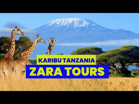 Welcome To Zara Tours