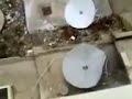 Our Dish destroyed Our Dish destroyed