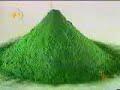 Chlorella - Alternativa e Saude