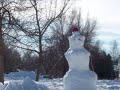 Snowmen of Fort Collins Colorado (City Park Neighborhood)