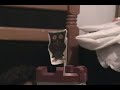 parte3.mp4