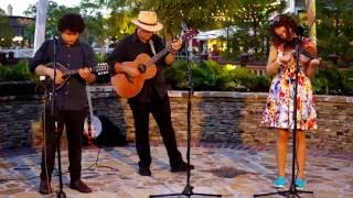 Bluegrass on Holiday