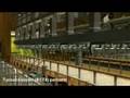 videos de Baldeagle's Flight