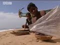 Ray Mears World of Survival: Perfect Sailboat