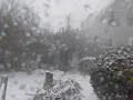 Blizzard long video.AVI