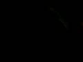 videos de old greg gets robbed:)