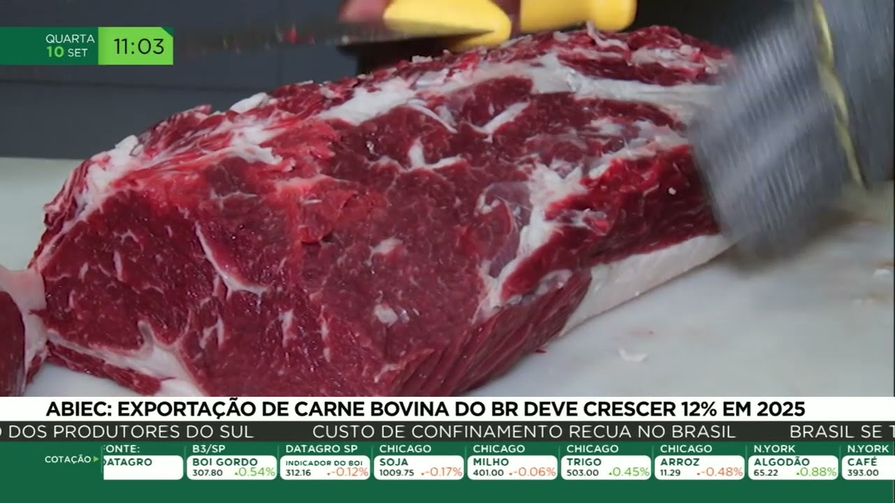 Abiec: exportações de carne bovina do Brasil deve crescer 12% em 2025