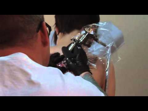 video:Fallen Owl.mov